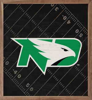 Black Football Field University Of North Dakota